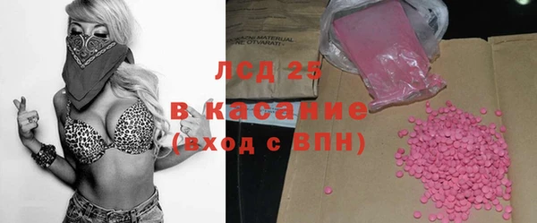 spice Аркадак