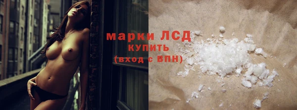 spice Аркадак