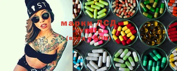 spice Аркадак