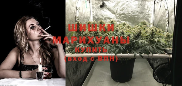 spice Аркадак