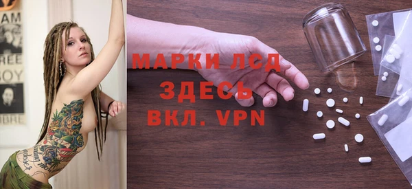 spice Аркадак