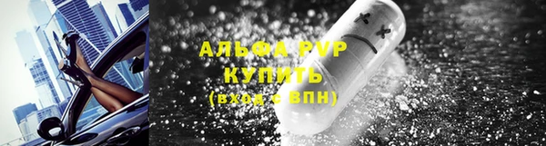 СК Арсеньев