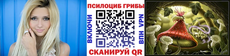 как найти закладки Струнино гидра маркетплейс Галлюциногенные грибы мицелий